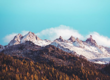 不胜其扰,詹姆斯回应ESPN长文后直接终止采访:每个人都疯了